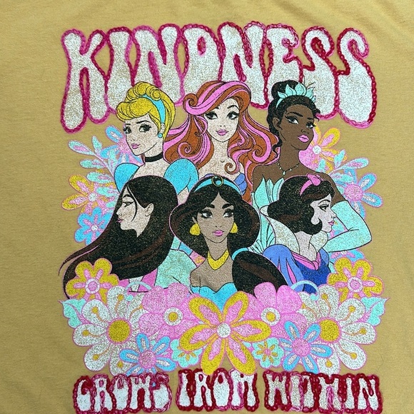 Distressed Disney princesses size medium customer embroidered tee - Picture 2 of 4